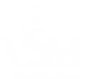 VSM Gestão Contábil e Empresarial