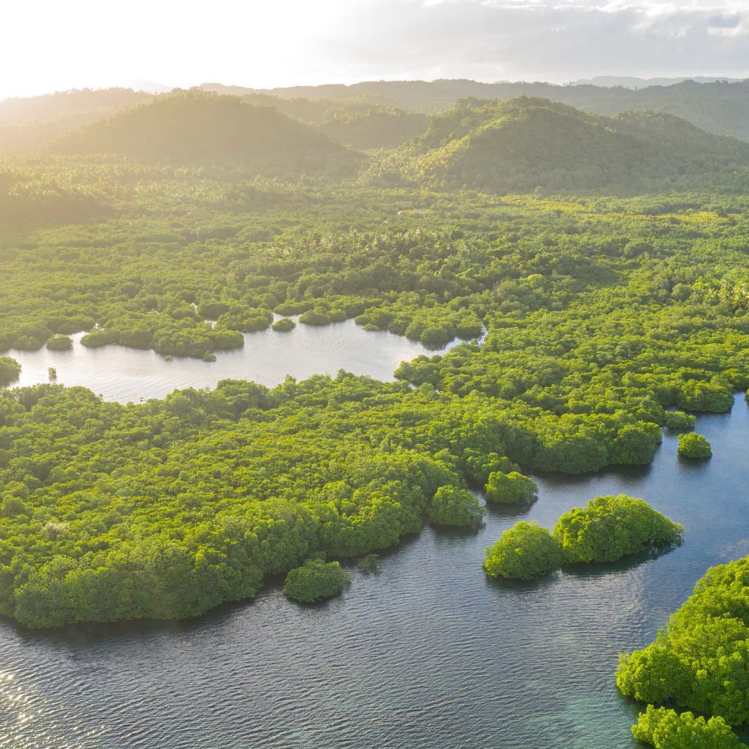 Projeto Amazônia Viva promove imersão em comunidade ribeirinha no Rio Negro